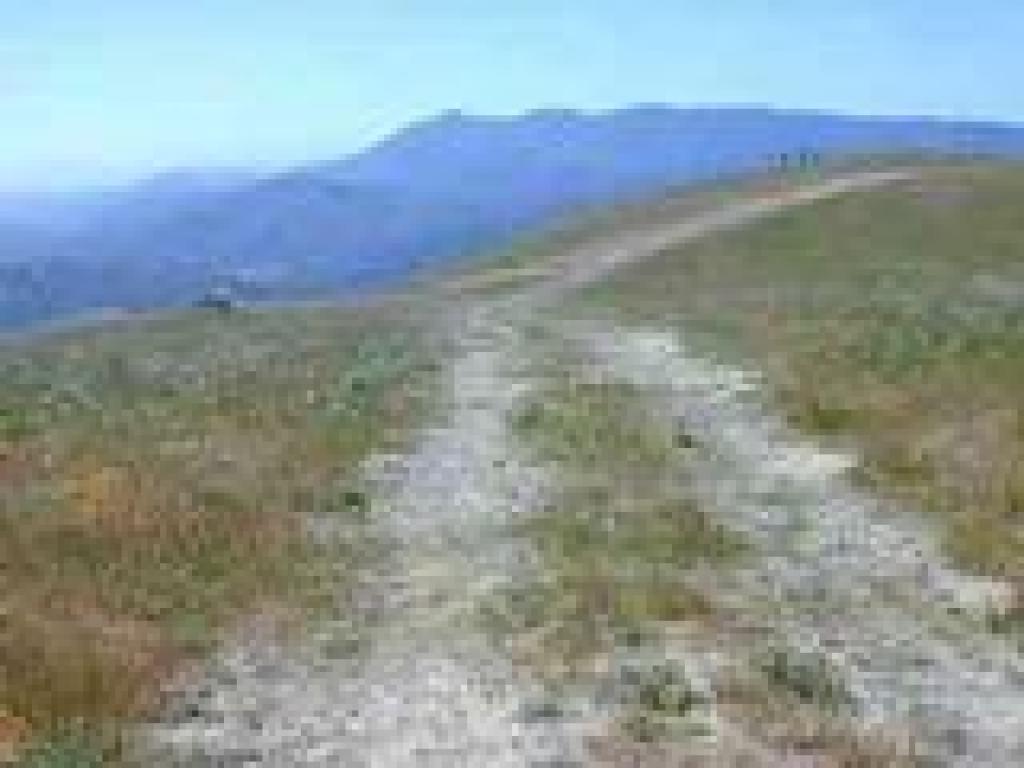 View to Mount Tam