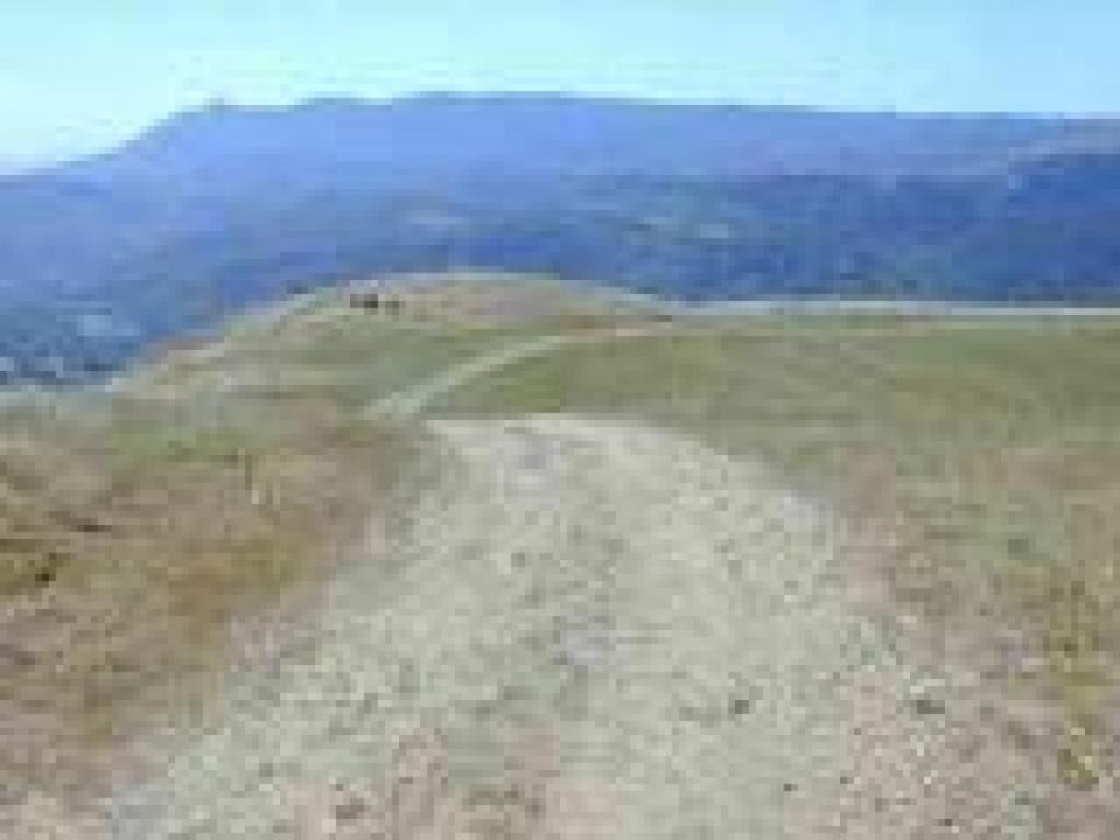 Looking south