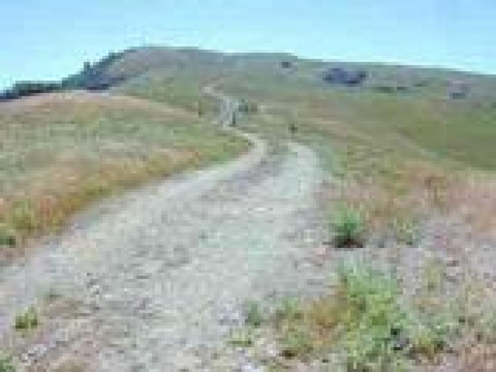 Along the ridge