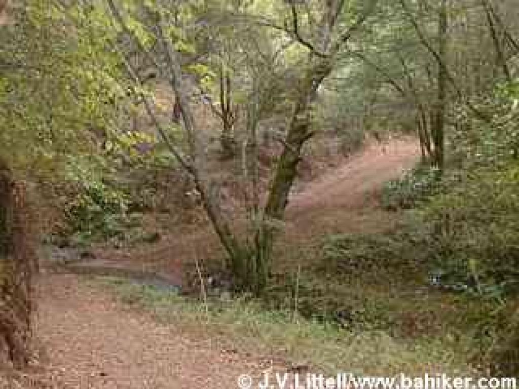 Photo of Devil's Gulch Trail