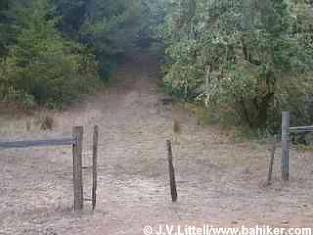 Photo of the end of the hike, at the obvious, but closed off junction