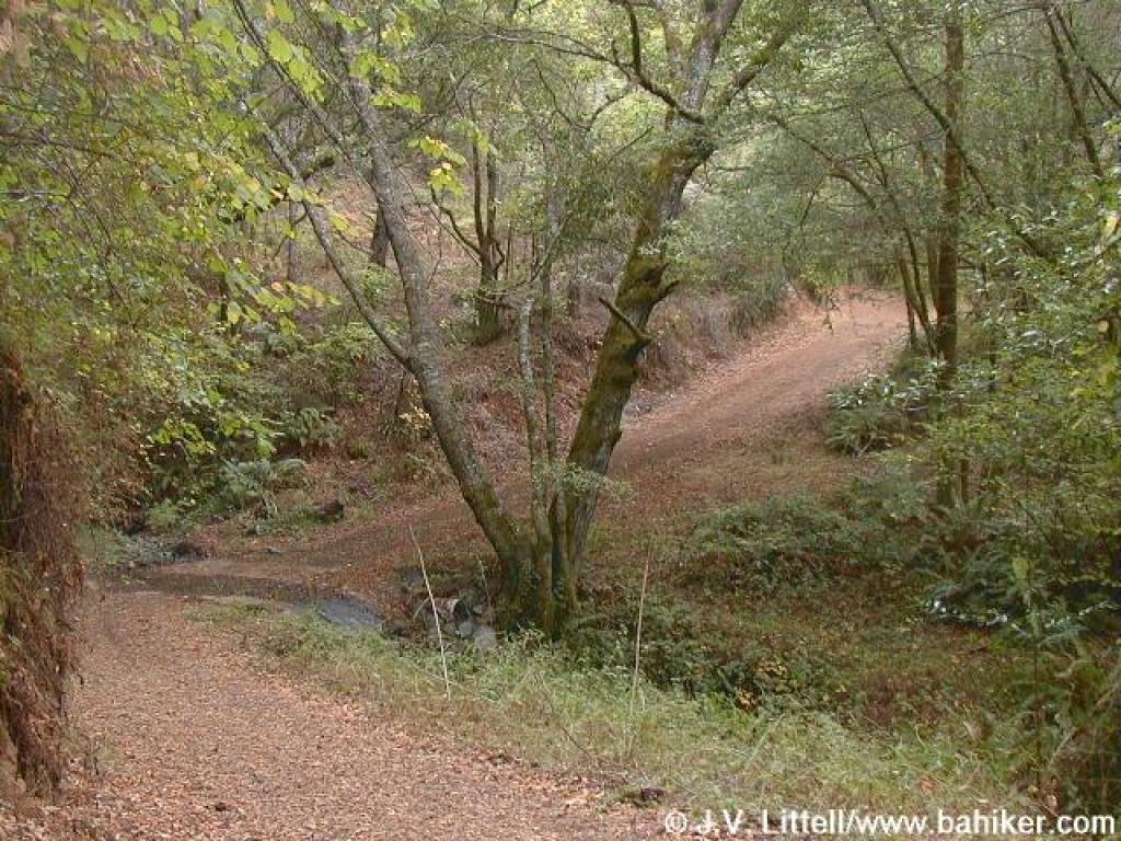 Bay Area Hiker Devil's Gulch Samuel P. Taylor State Park