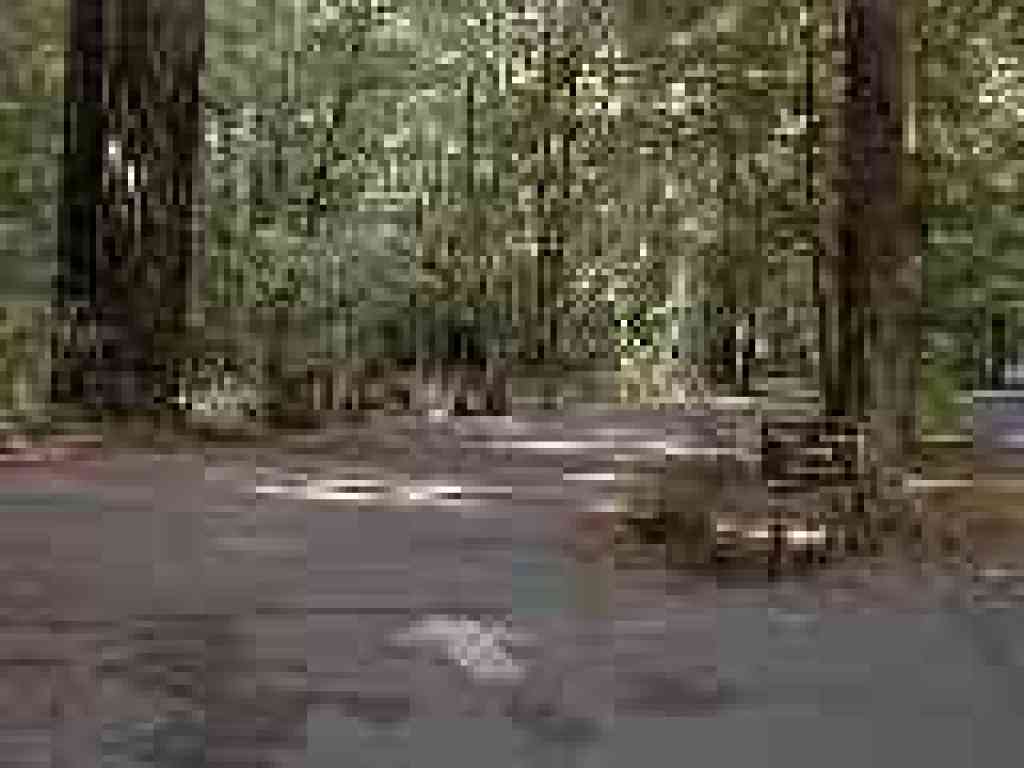 Picnic area