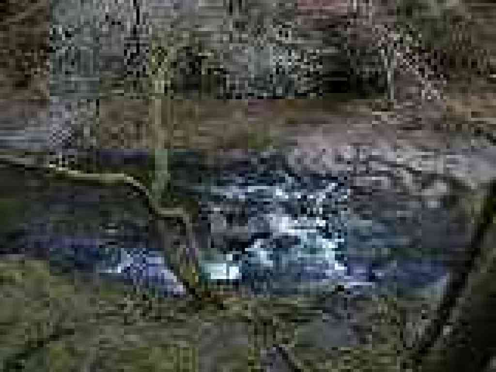 Papermill Creek