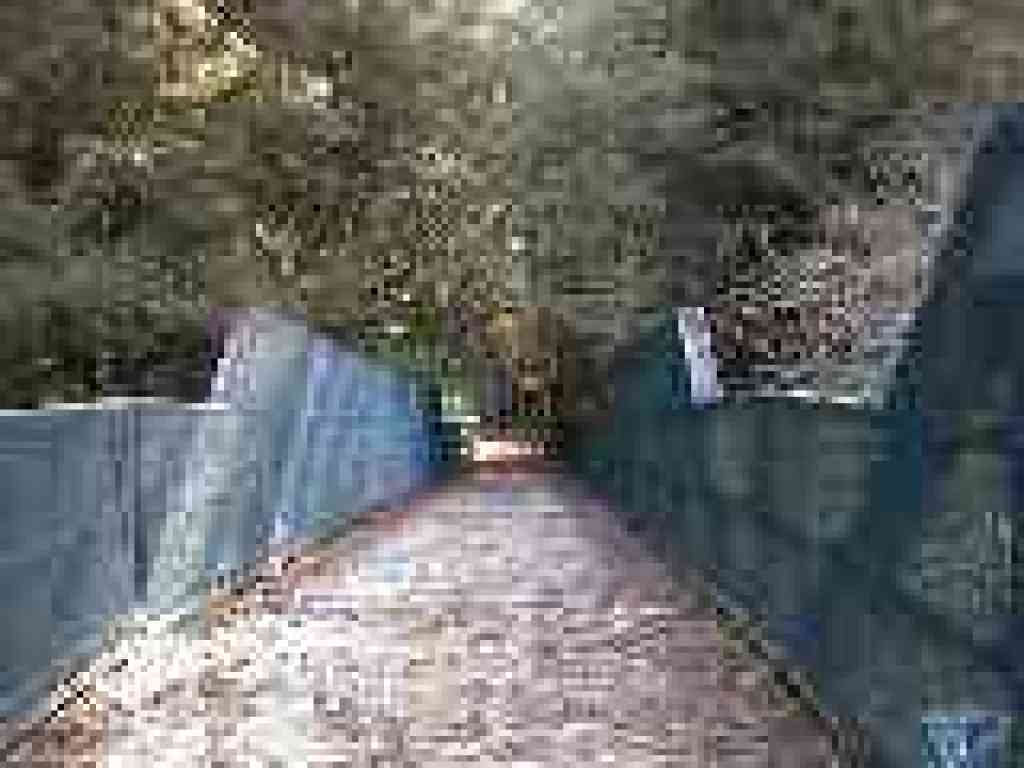 Bridge