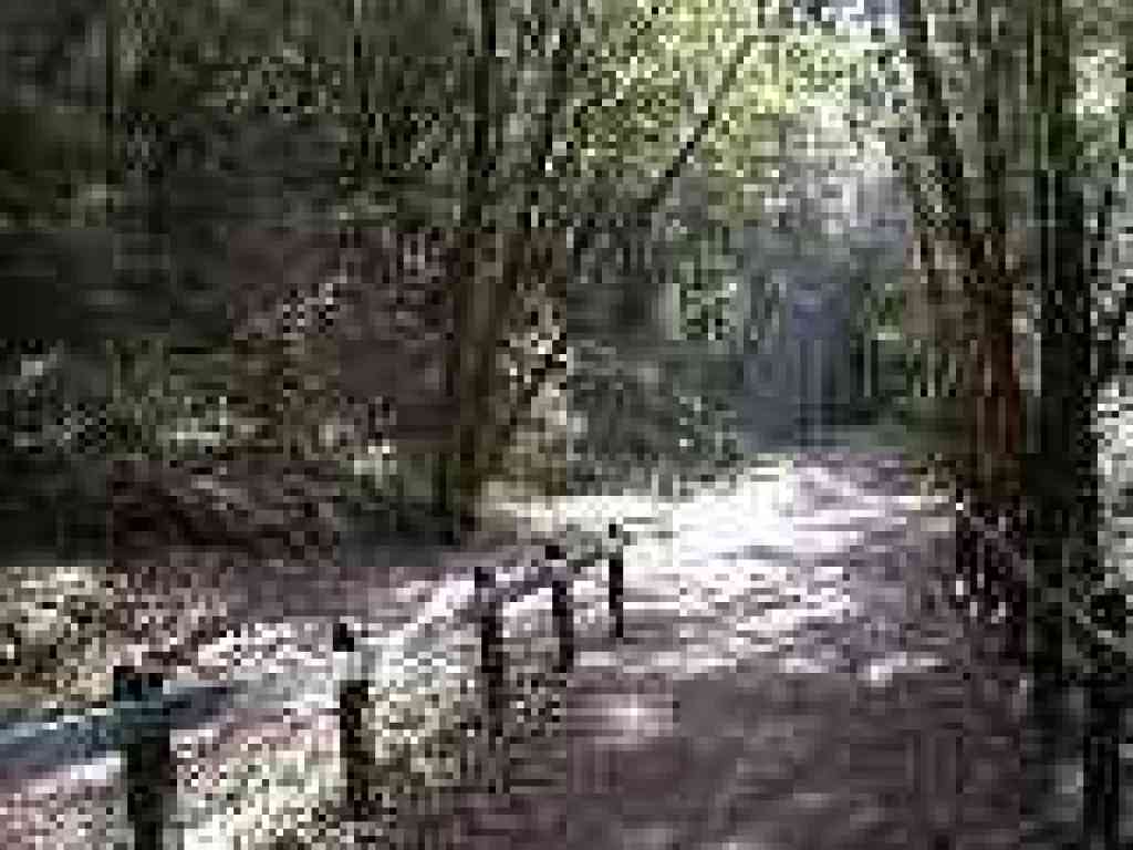 Junction with Riding and Hiking Trail
