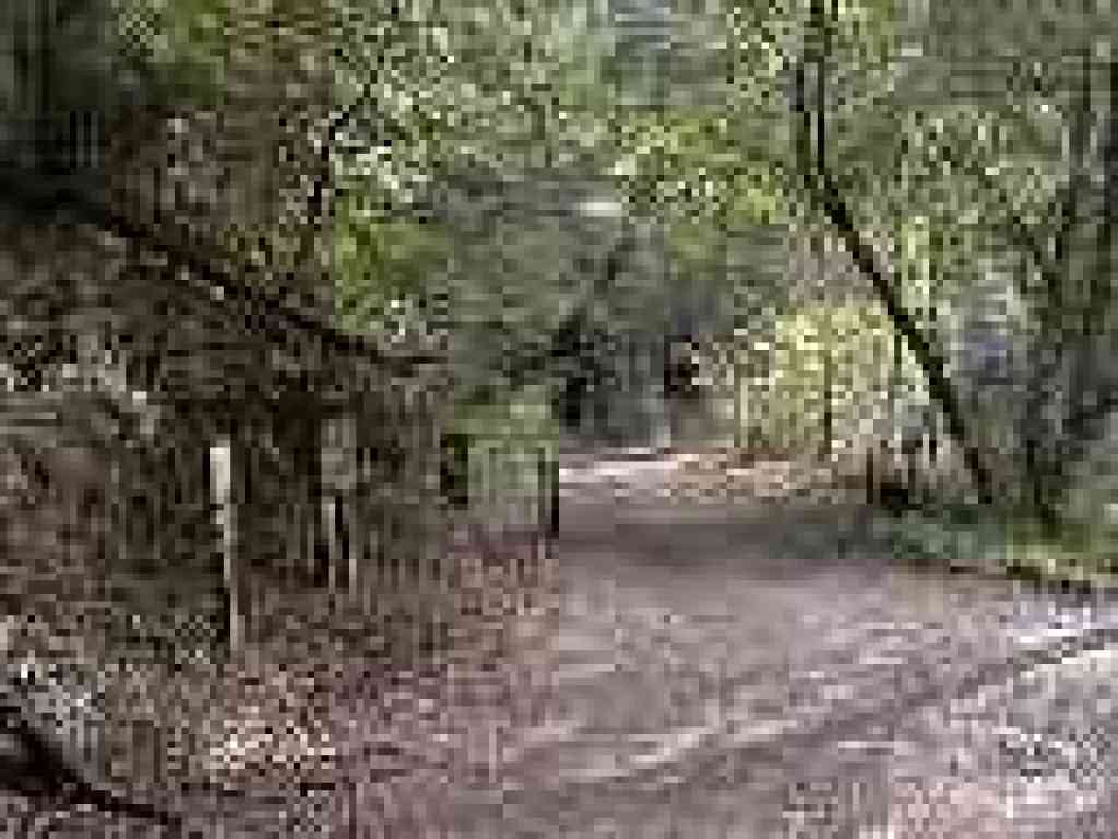 Riding and Hiking Trail