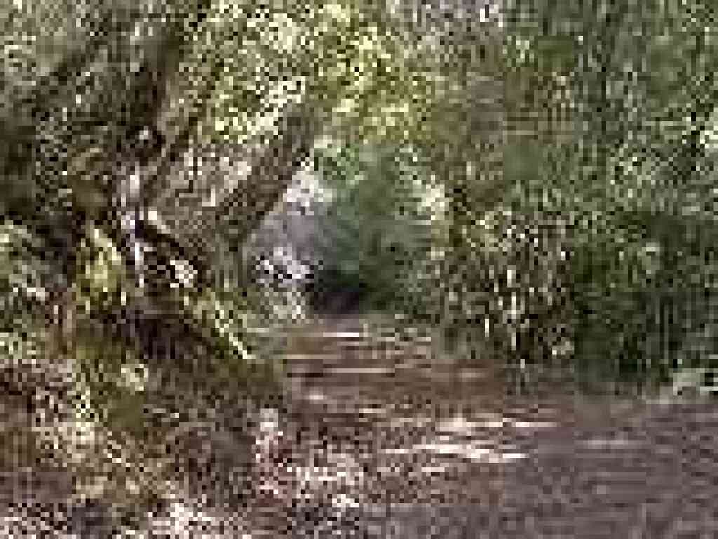 Uphill