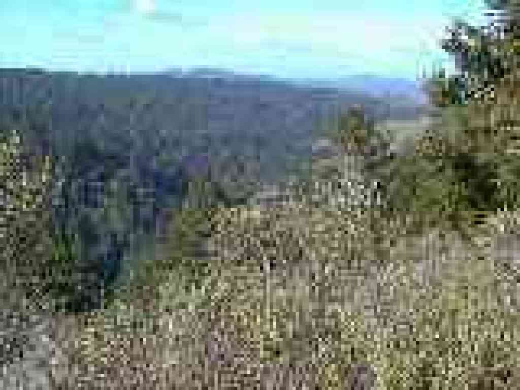 View west