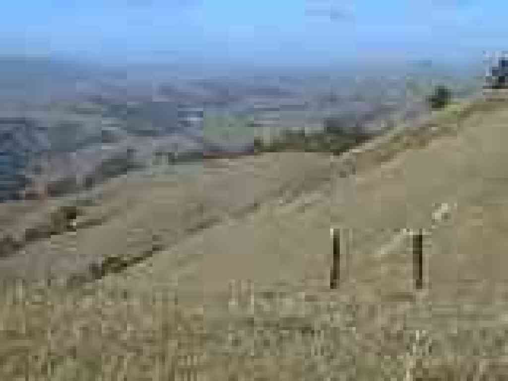 View west