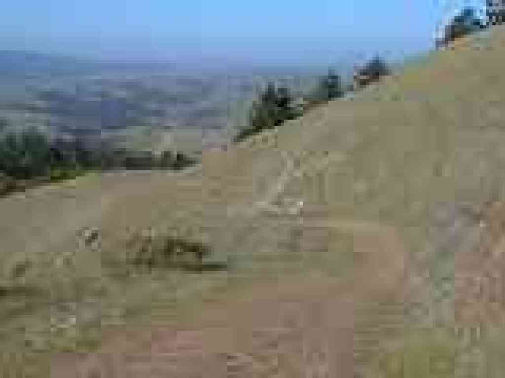 Downhill on Barnabe Trail