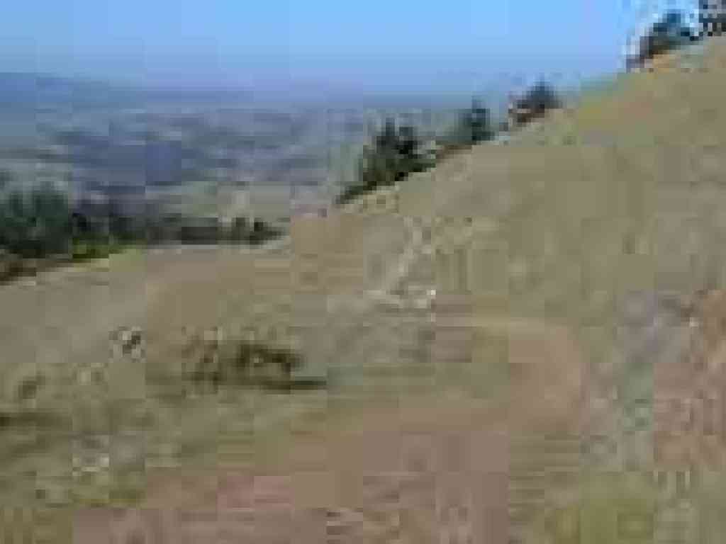 Downhill on Barnabe Trail