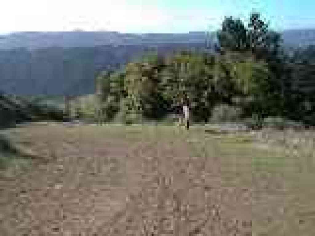 Junction with Bill's Trail