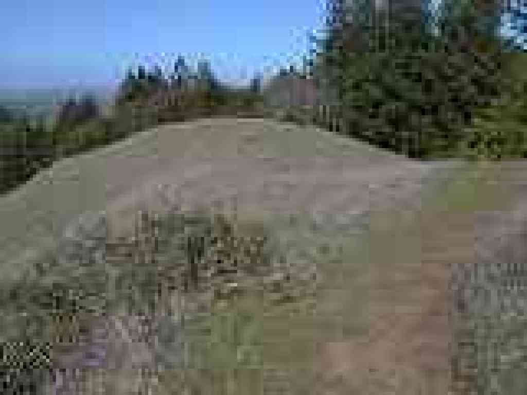 Bill's Trail