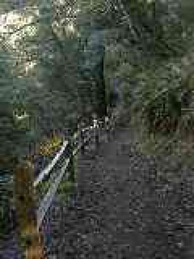 Fences prevent shortcuts