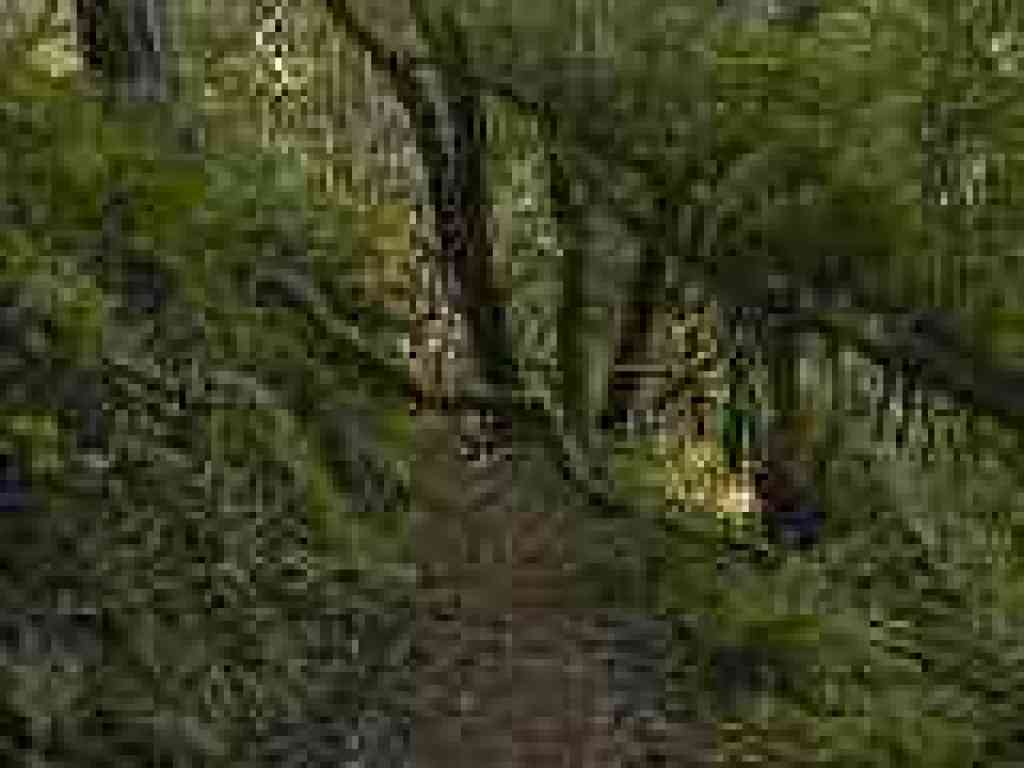 Mossy