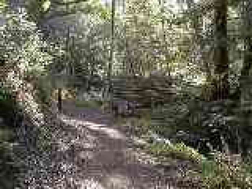 Junction at Devil's Gulch