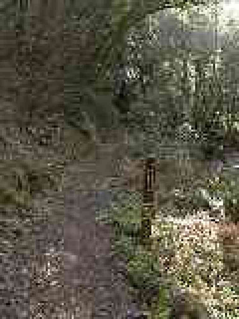 Riding and Hiking Trail