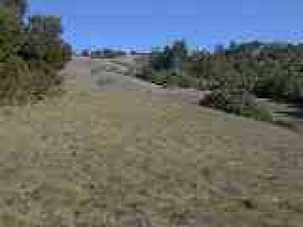 Looking uphill to Barnabe Mountain