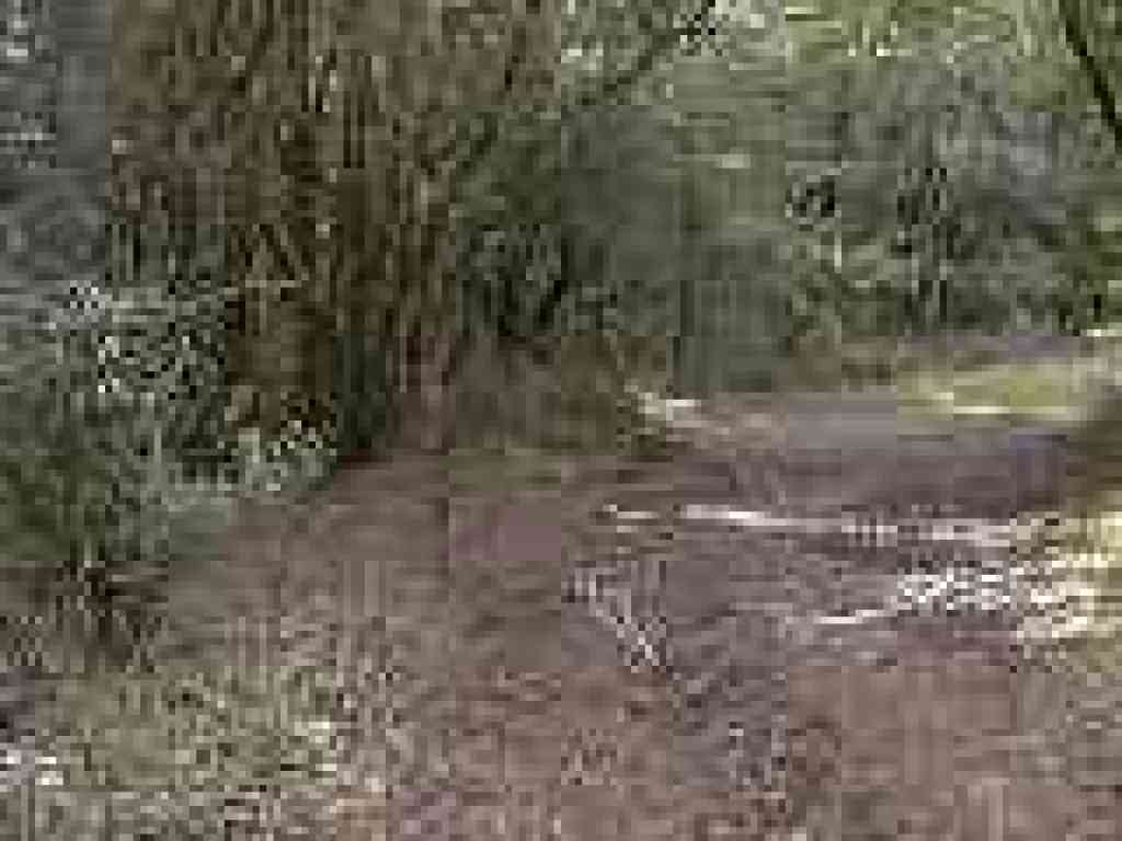 Junction with closed trail