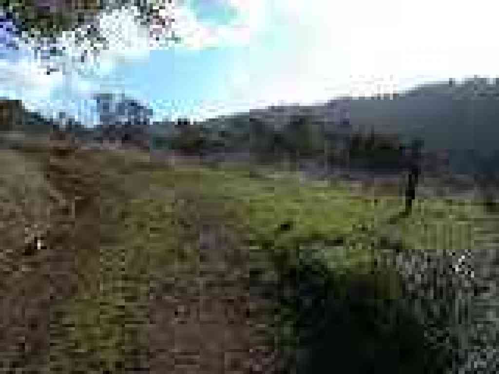 Junction with path to
