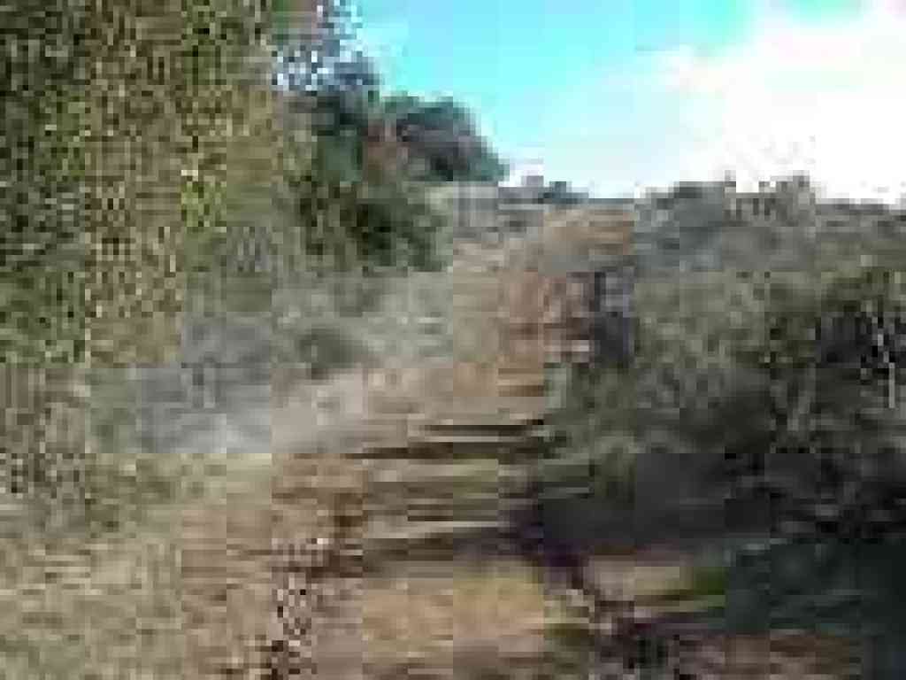 Climb to junction with Barnabe Trail