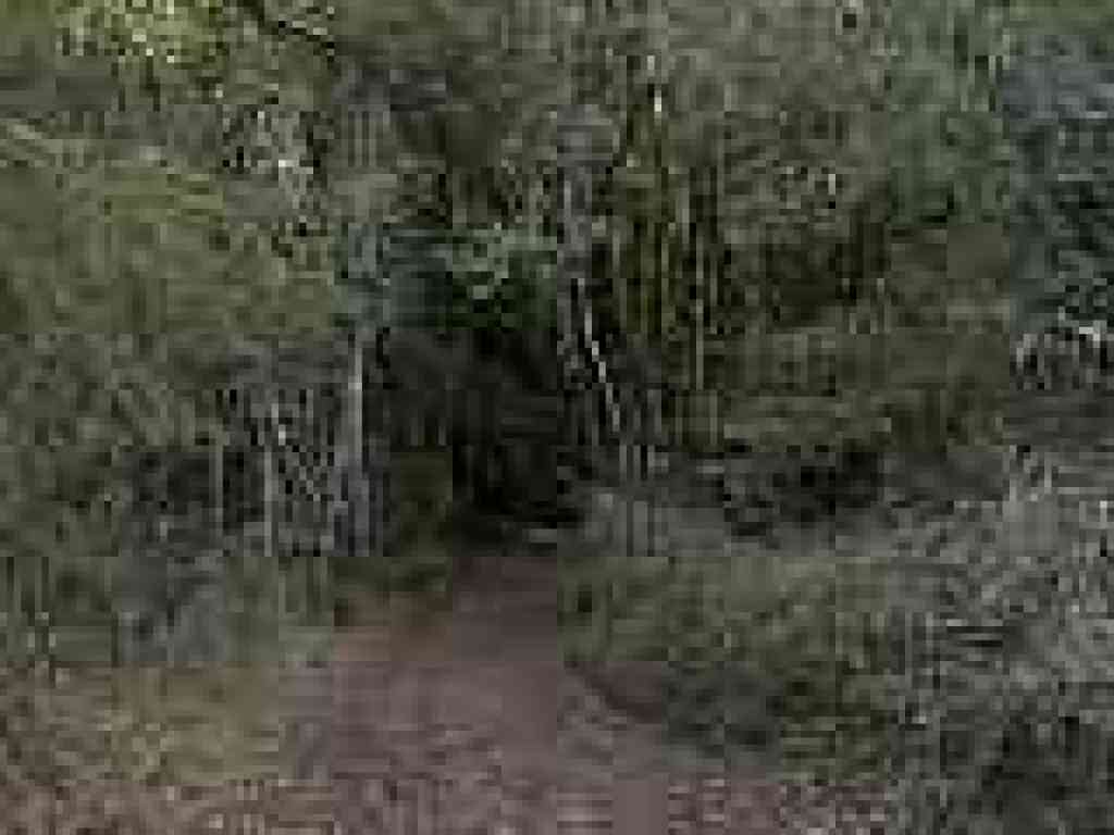 Sharp drop through woods