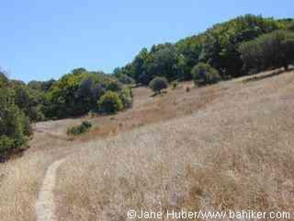 Terwilliger Nature Trail