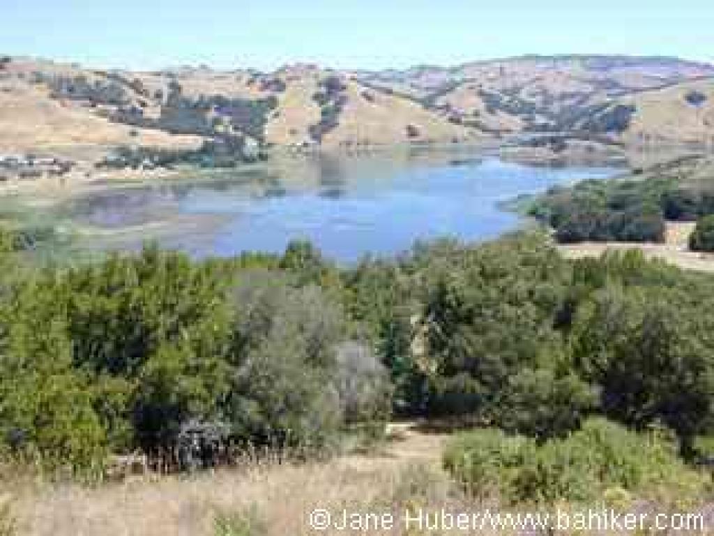 View to Stafford Lake