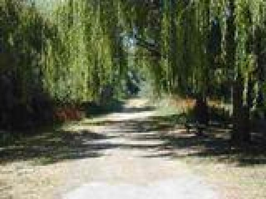 Trail turns to dirt