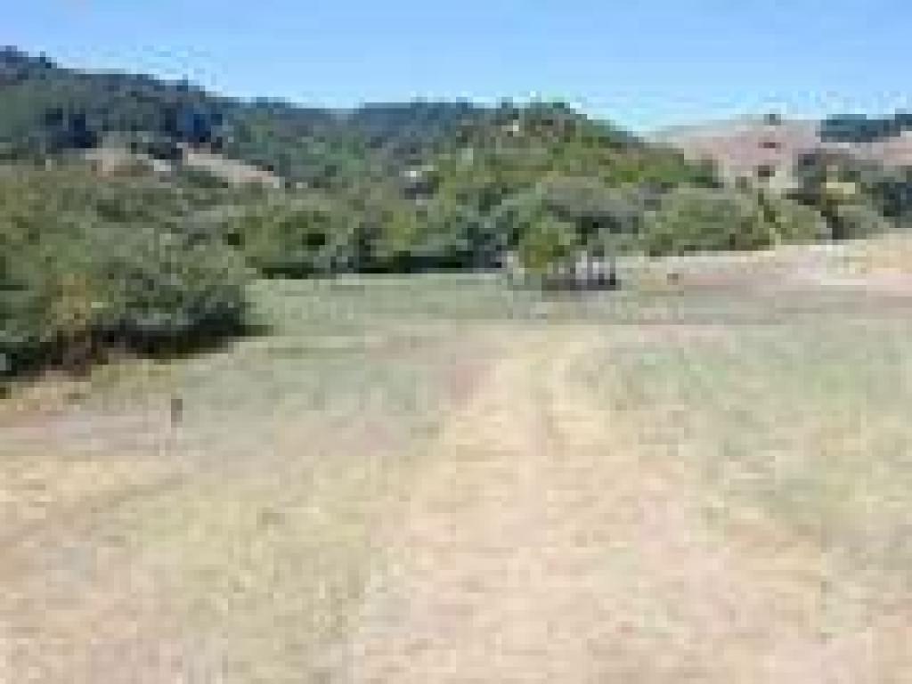 Near a picnic area
