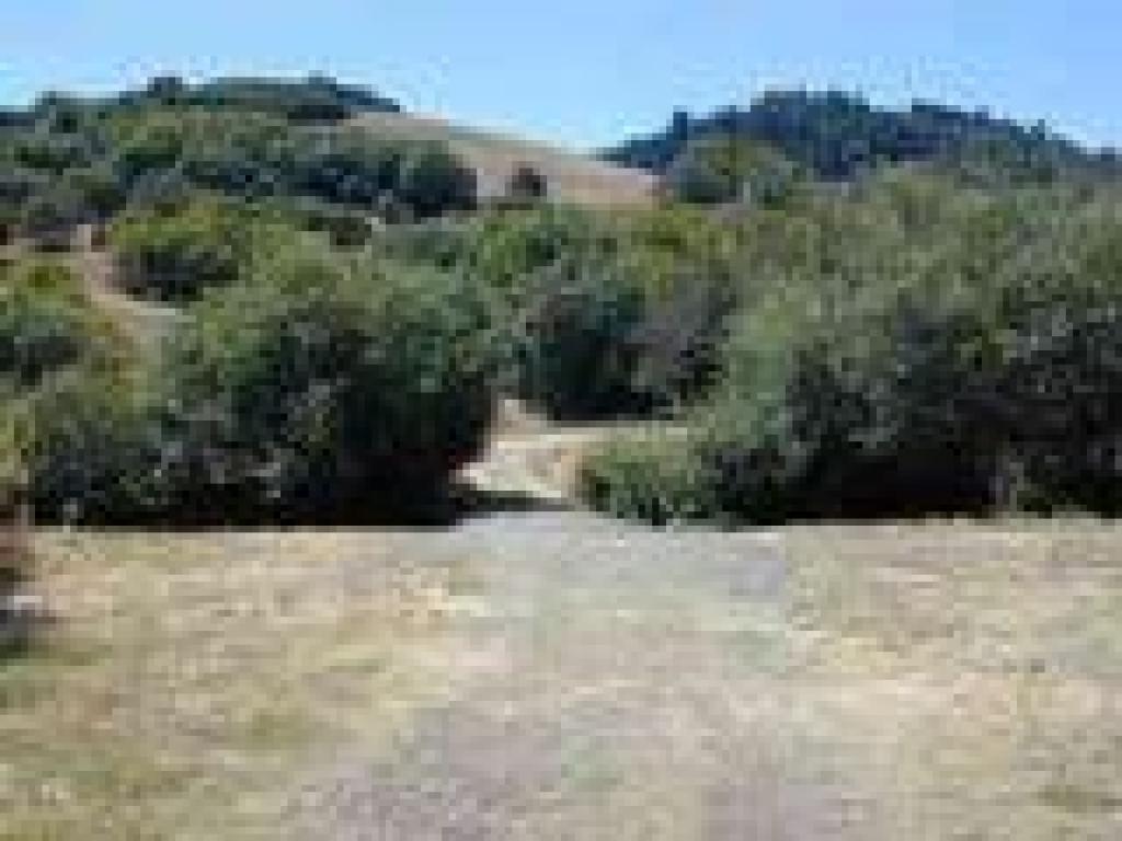 Creek crossing