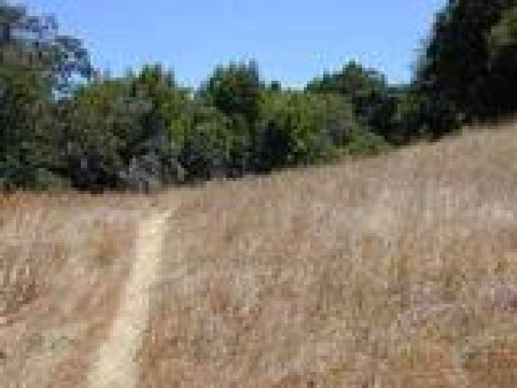 Slight path
