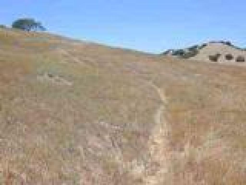 Through grassland