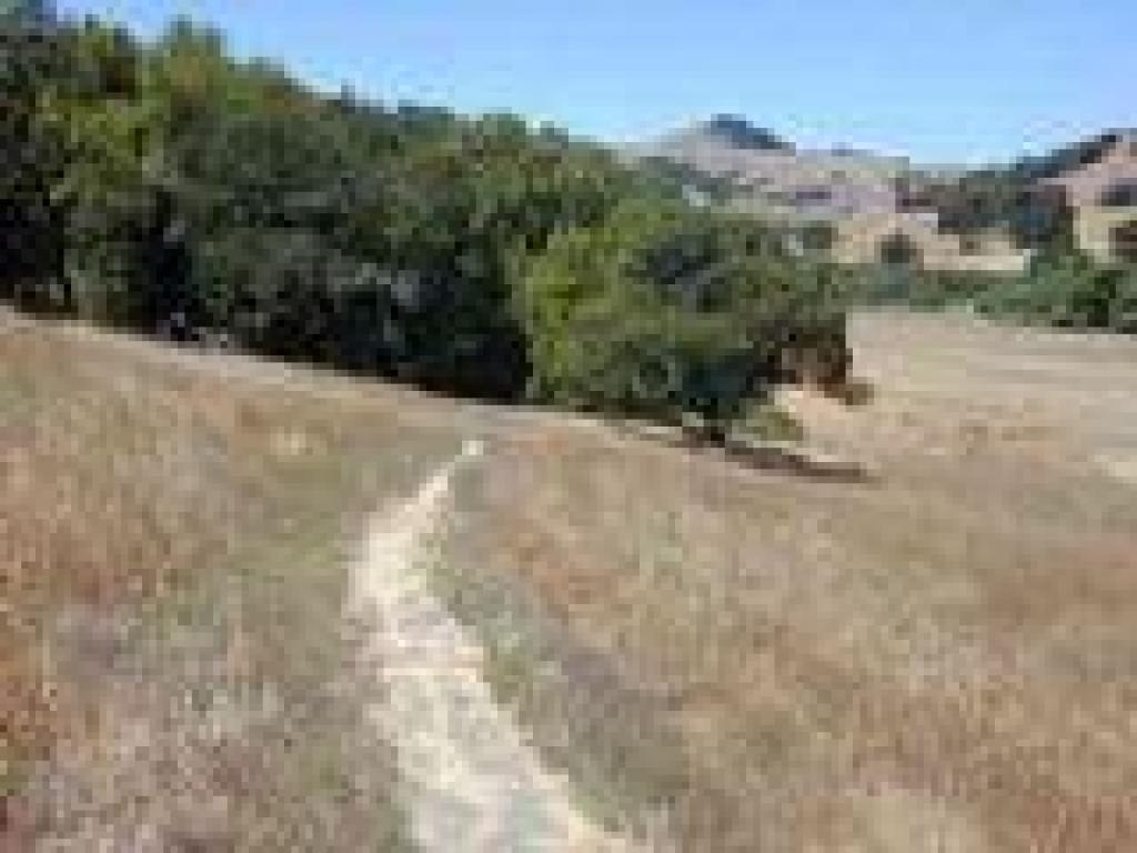 On the golf disc path