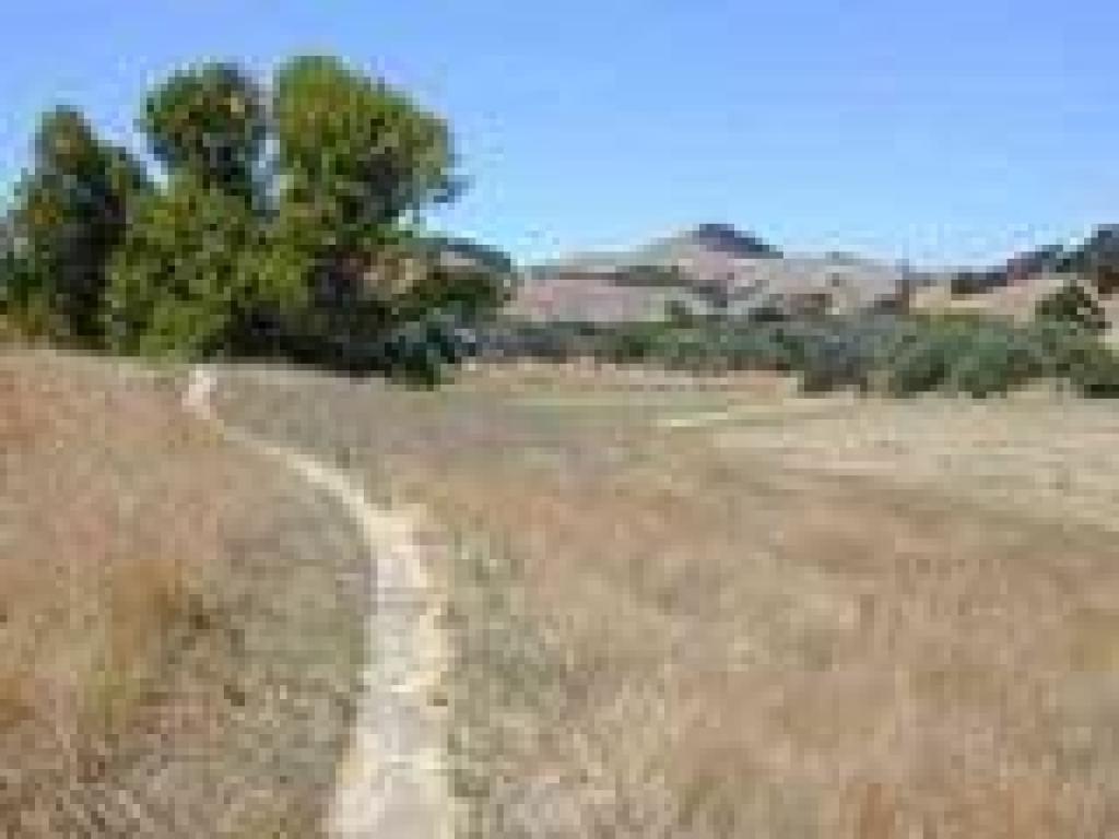 Path