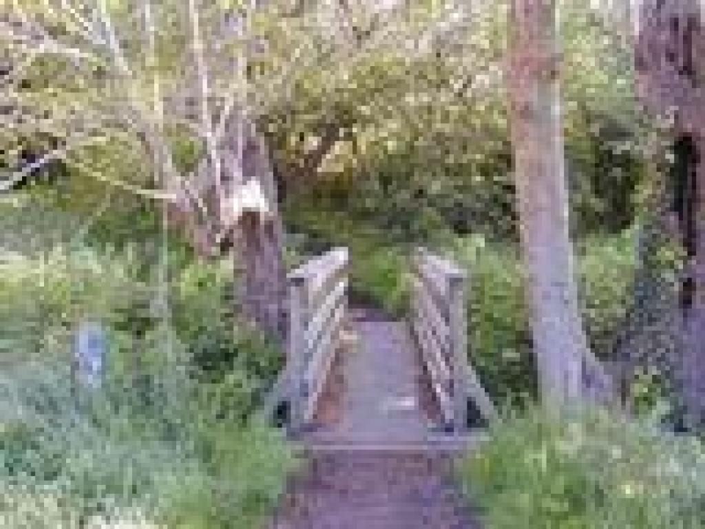 Bridge