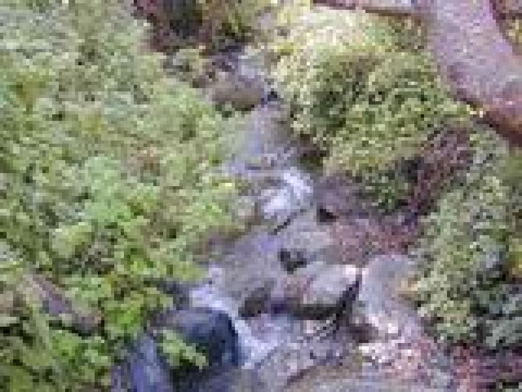 Creek