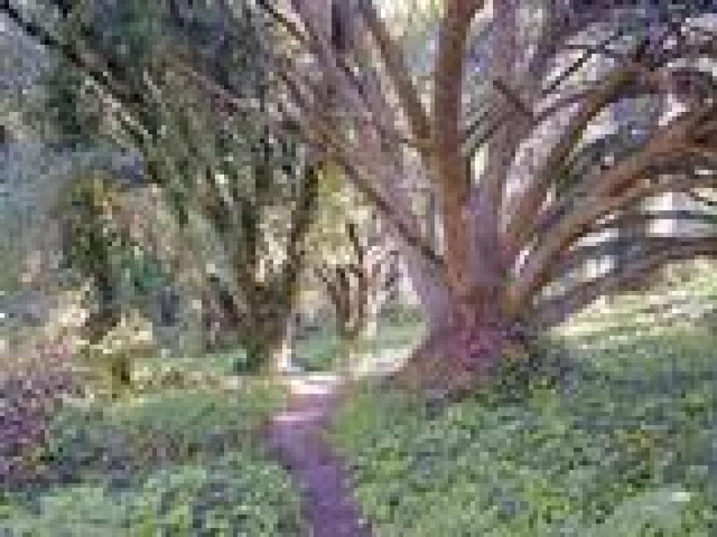 Matt Davis Trail
