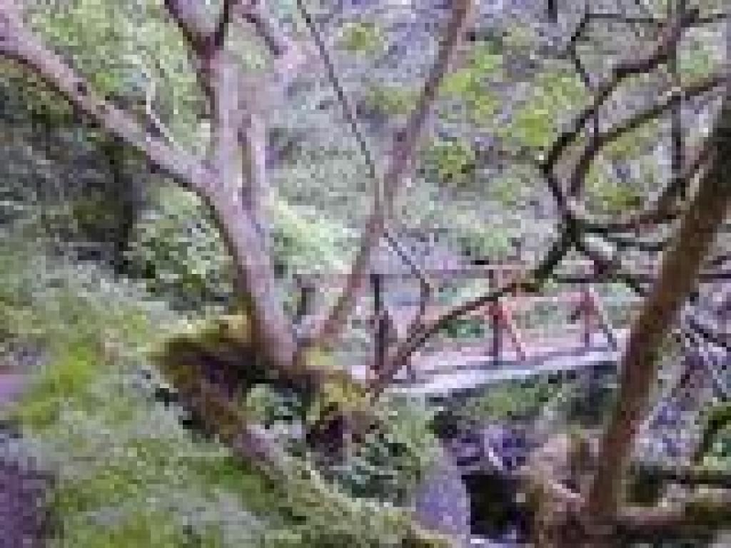 Bridge
