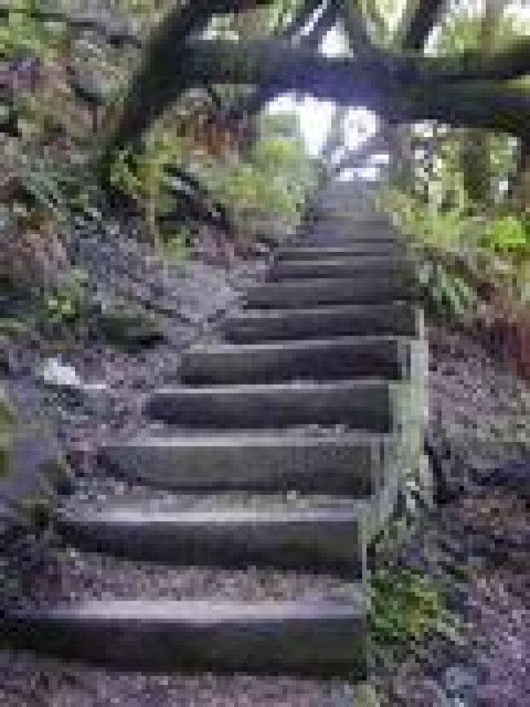 Steps