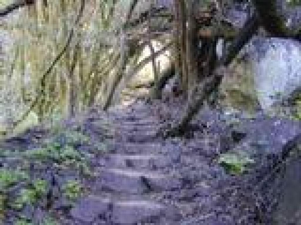 Steps