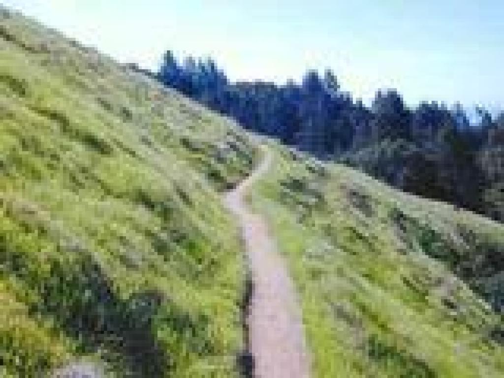 Matt Davis Trail