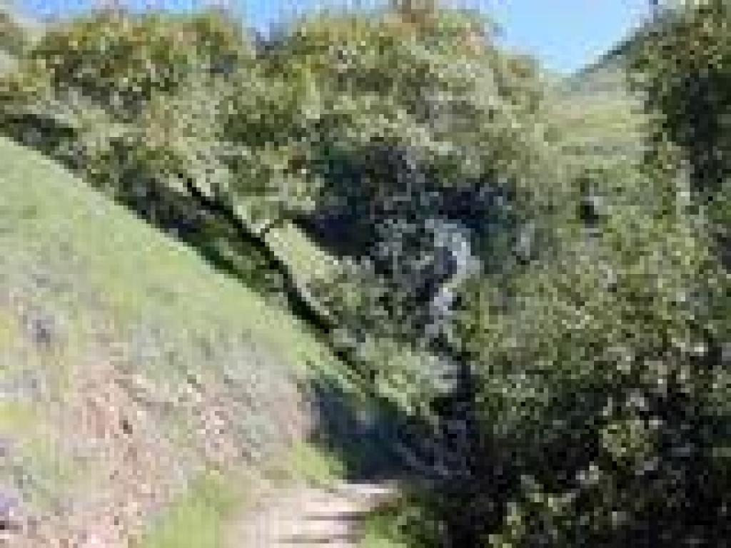 Shaded canyon