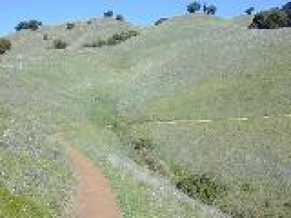 Views uphill