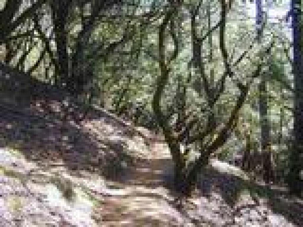 Matt Davis Trail