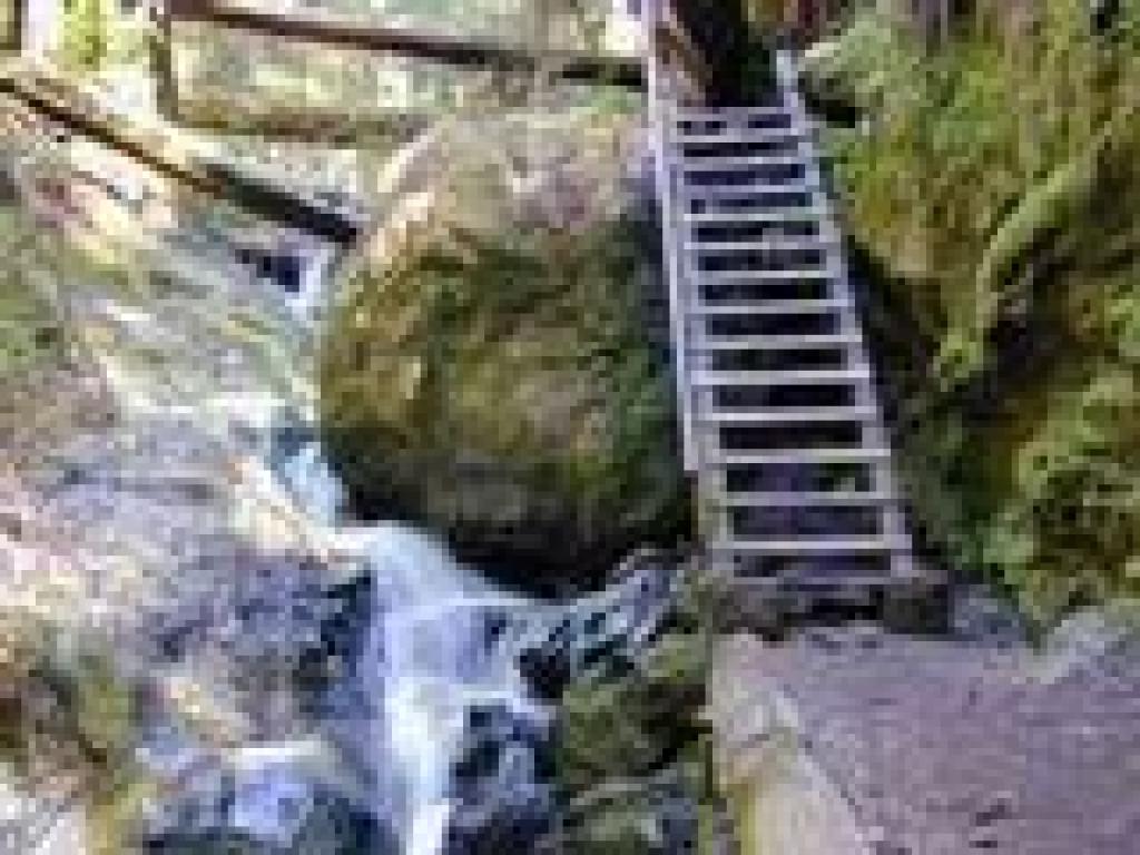 Steep Ravine Trail