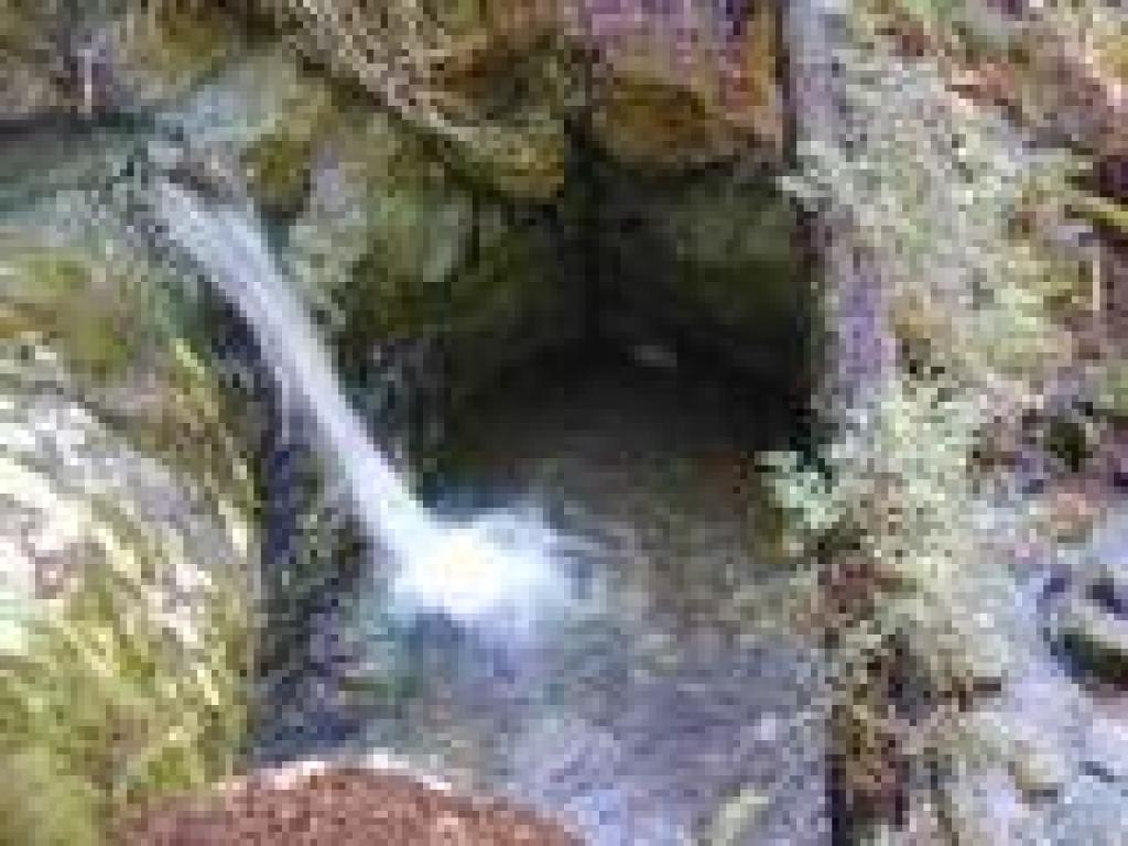 Trailside waterfall