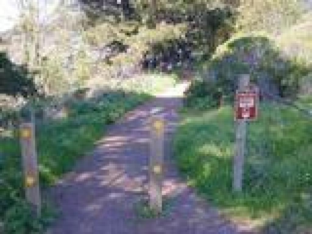 Dipsea