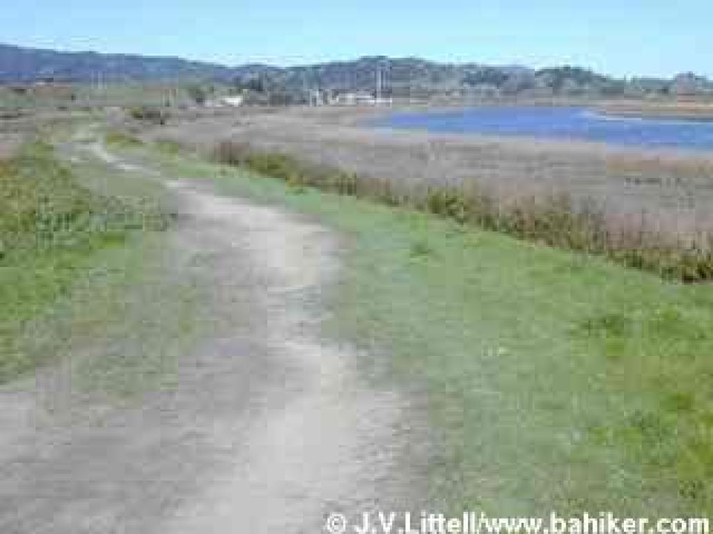 Along Las Gallinas Creek